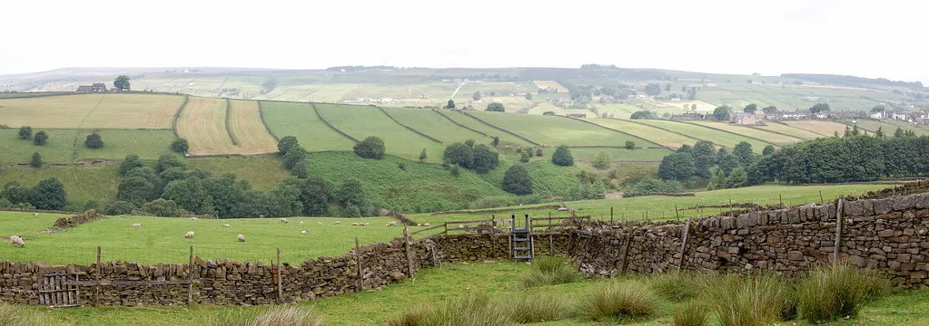 Dales Field Walls