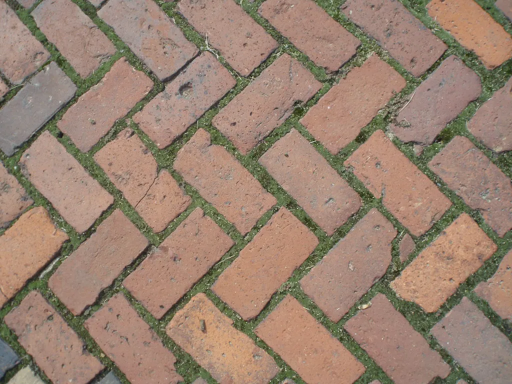 herringbone bricks with moss